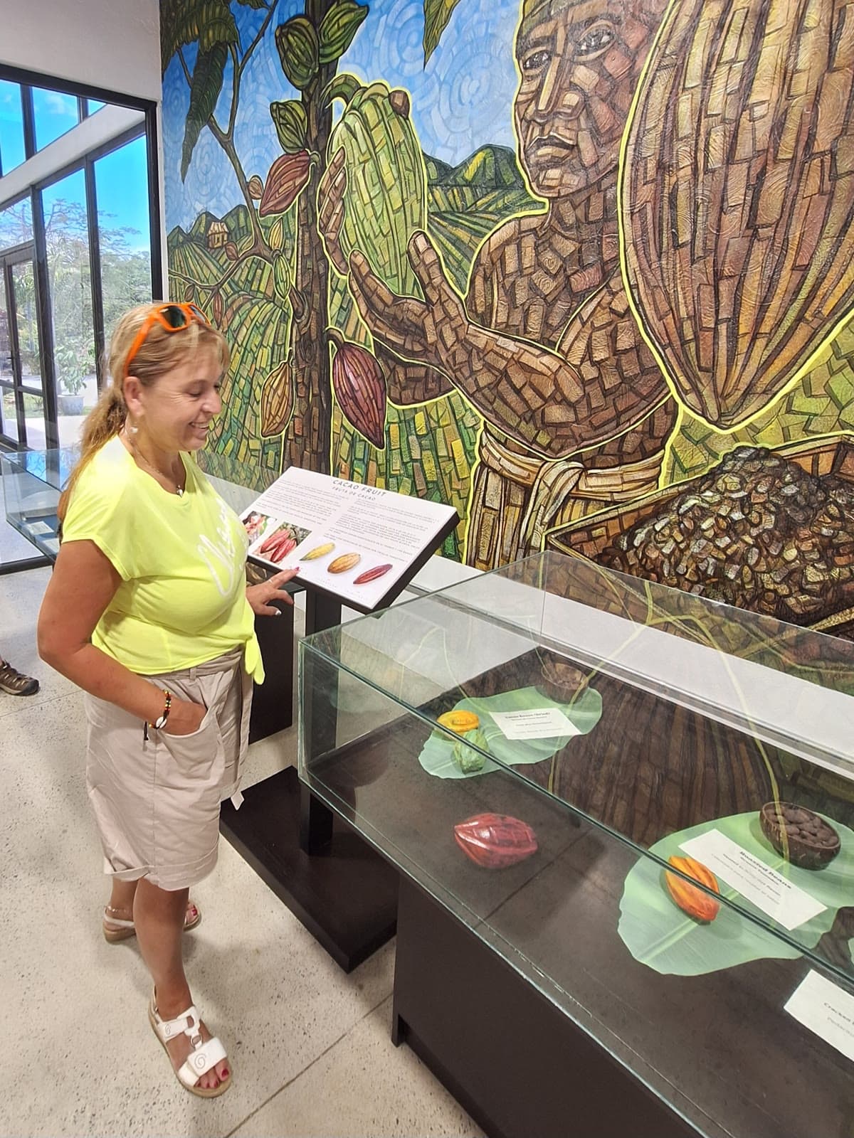 Fotografie — Carambola Chocolate Factory