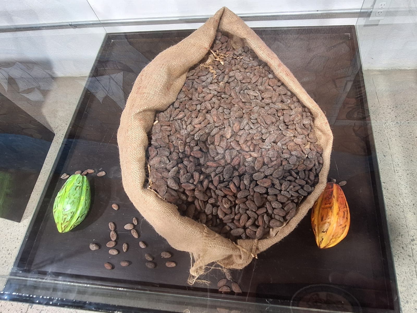 Fotografie — Carambola Chocolate Factory