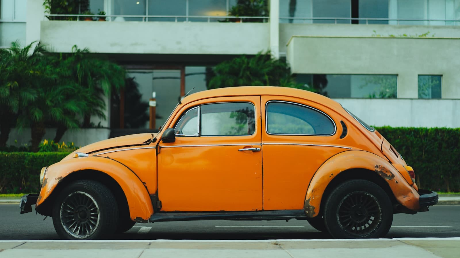 Starý oranžový Volkswagen Brouk zaparkovaný pod palmami