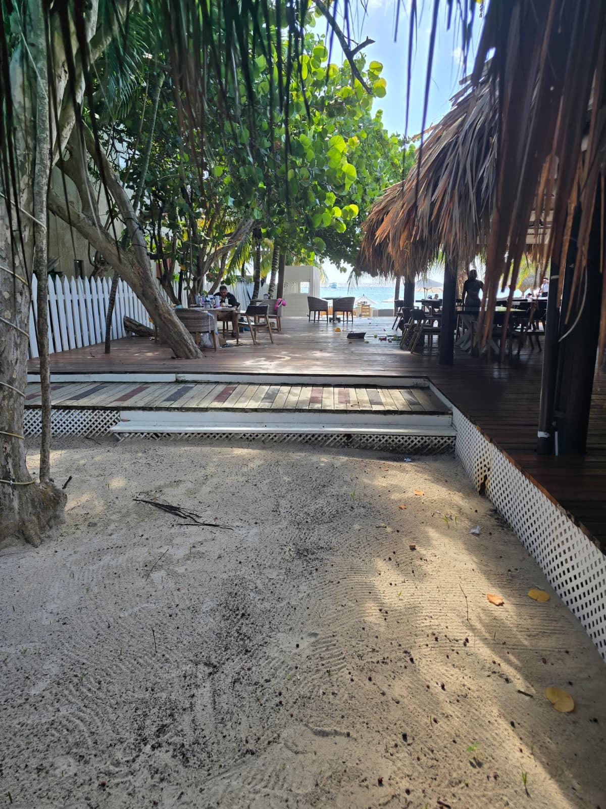 Fotografie — San Simon
