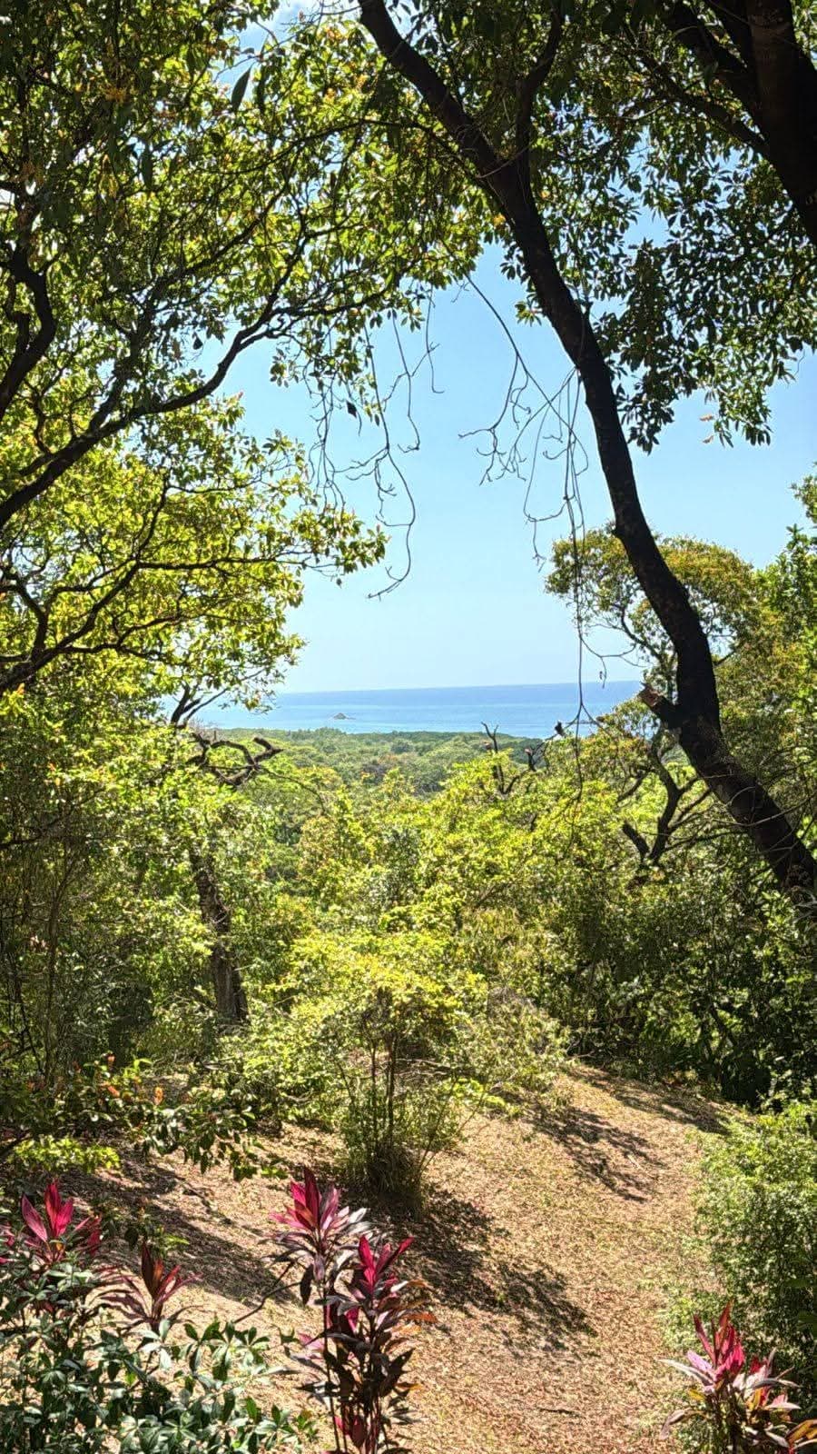 DH Top – Diamond Hill